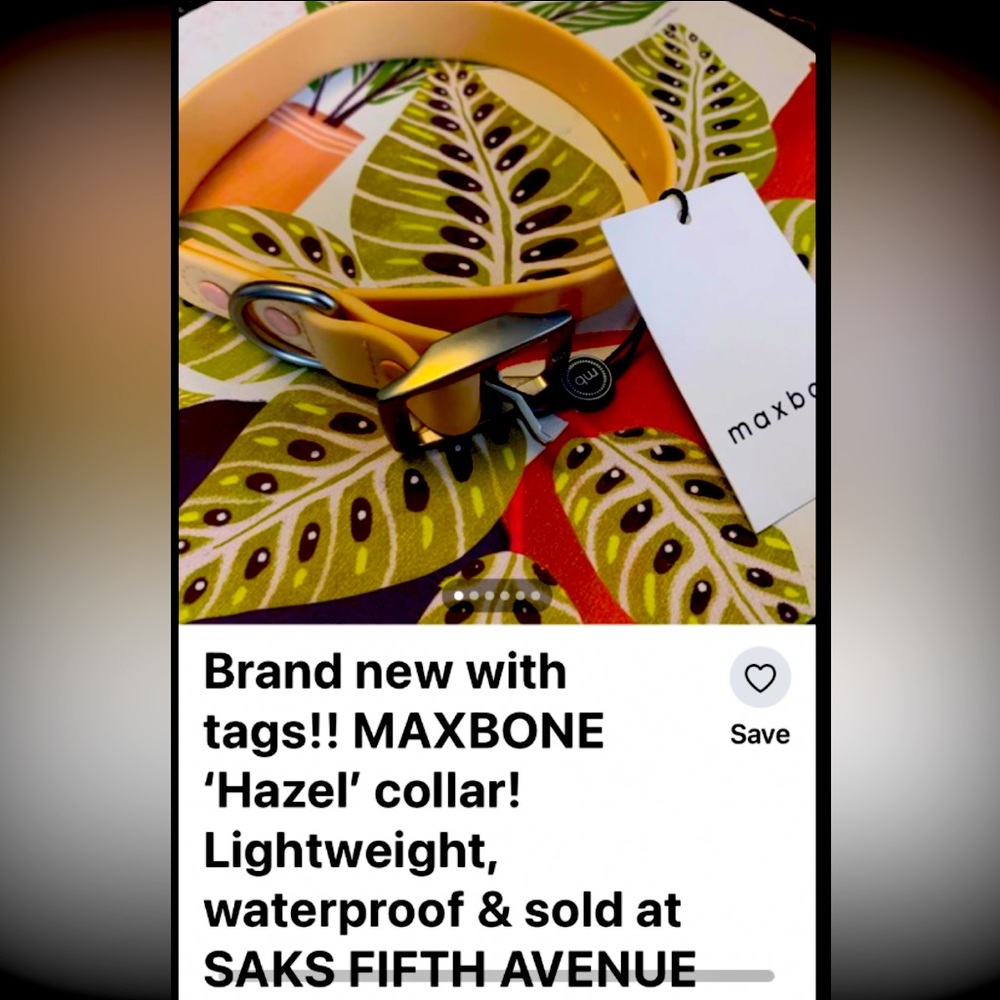 Brand new MAXBONE dog collar! SOLD at SAKS FIFTH AVENUE!! AVAILABLE here!